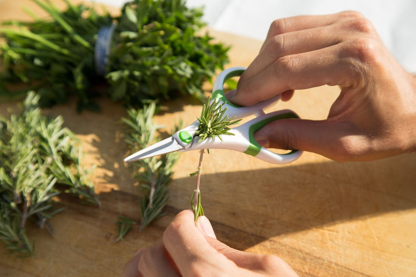Herb gardening scissors
