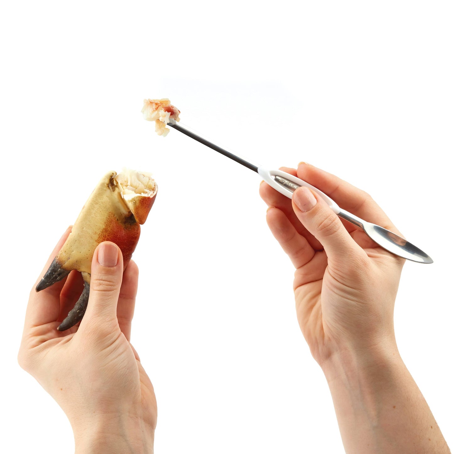Seafood picks