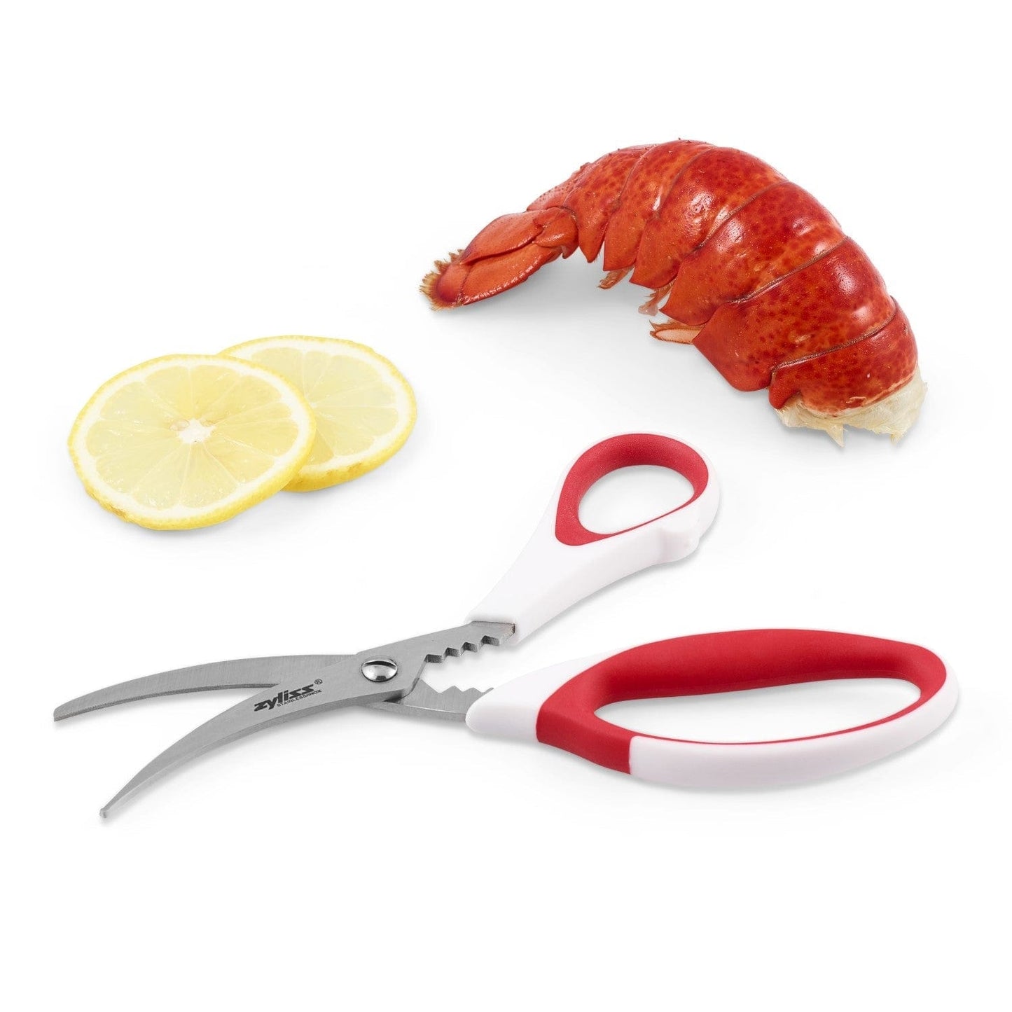 Seafood scissors