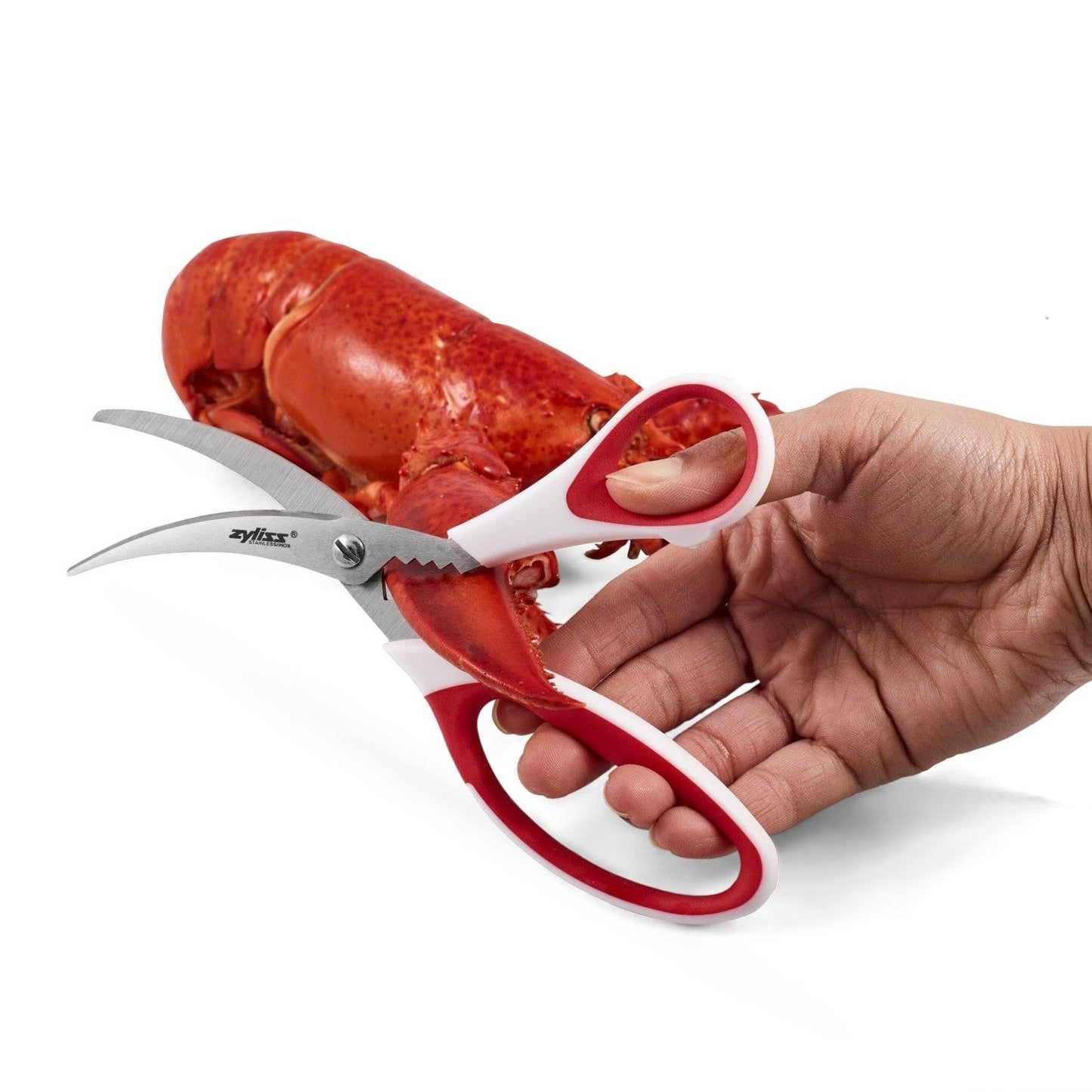 Seafood scissors