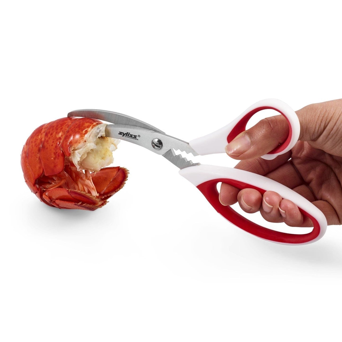 Seafood scissors