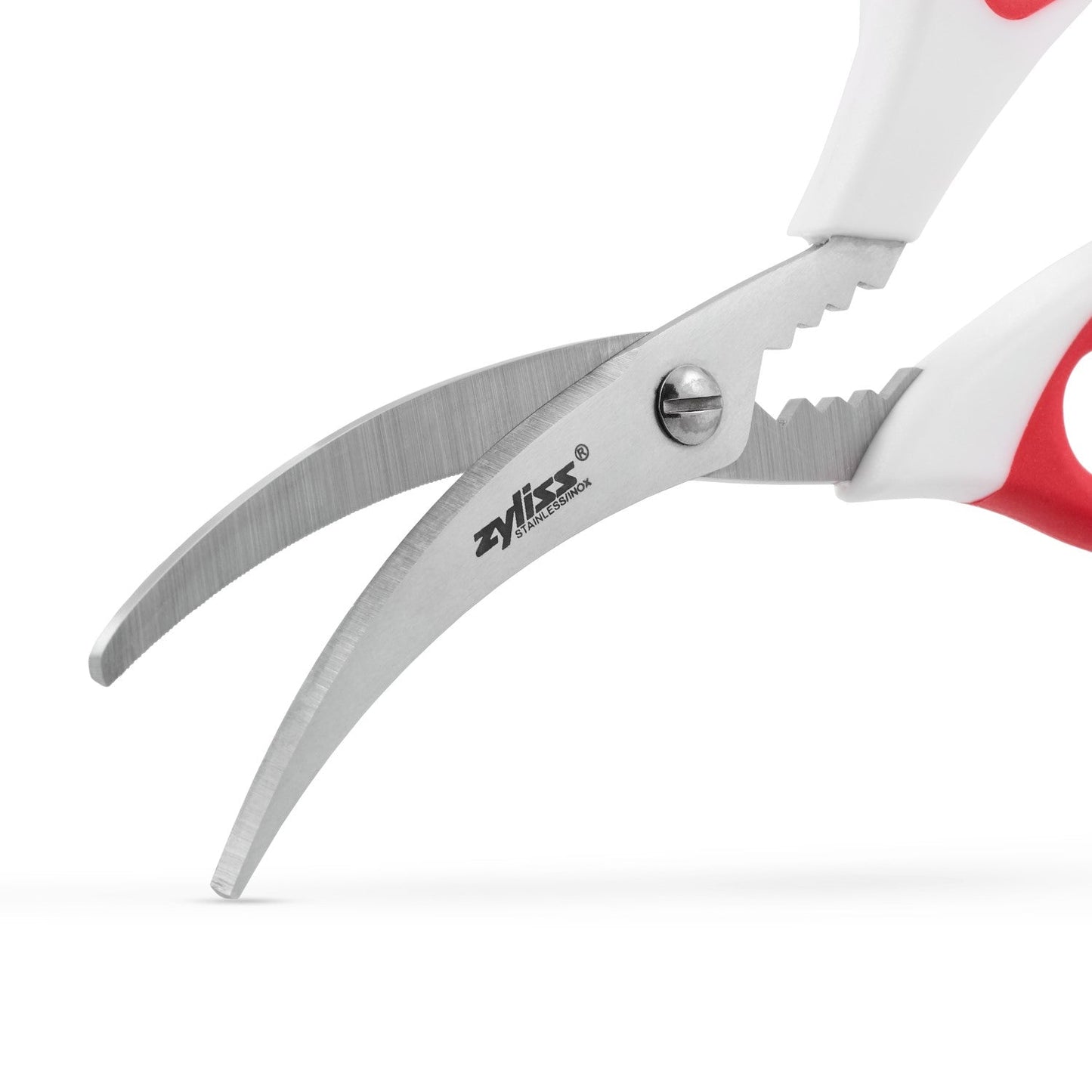 Seafood scissors